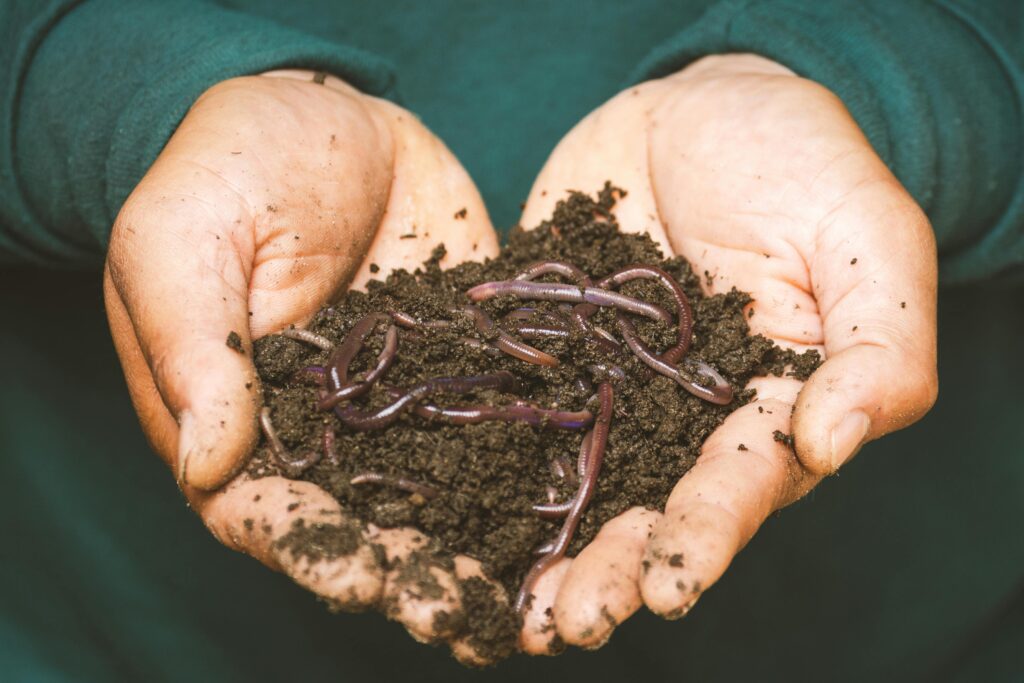 Farming Practices - Vermicomposting