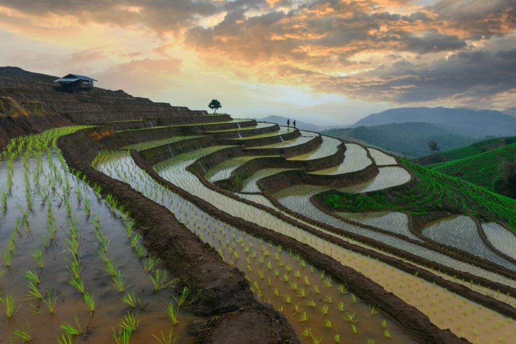 Organic Farming - Irrigation